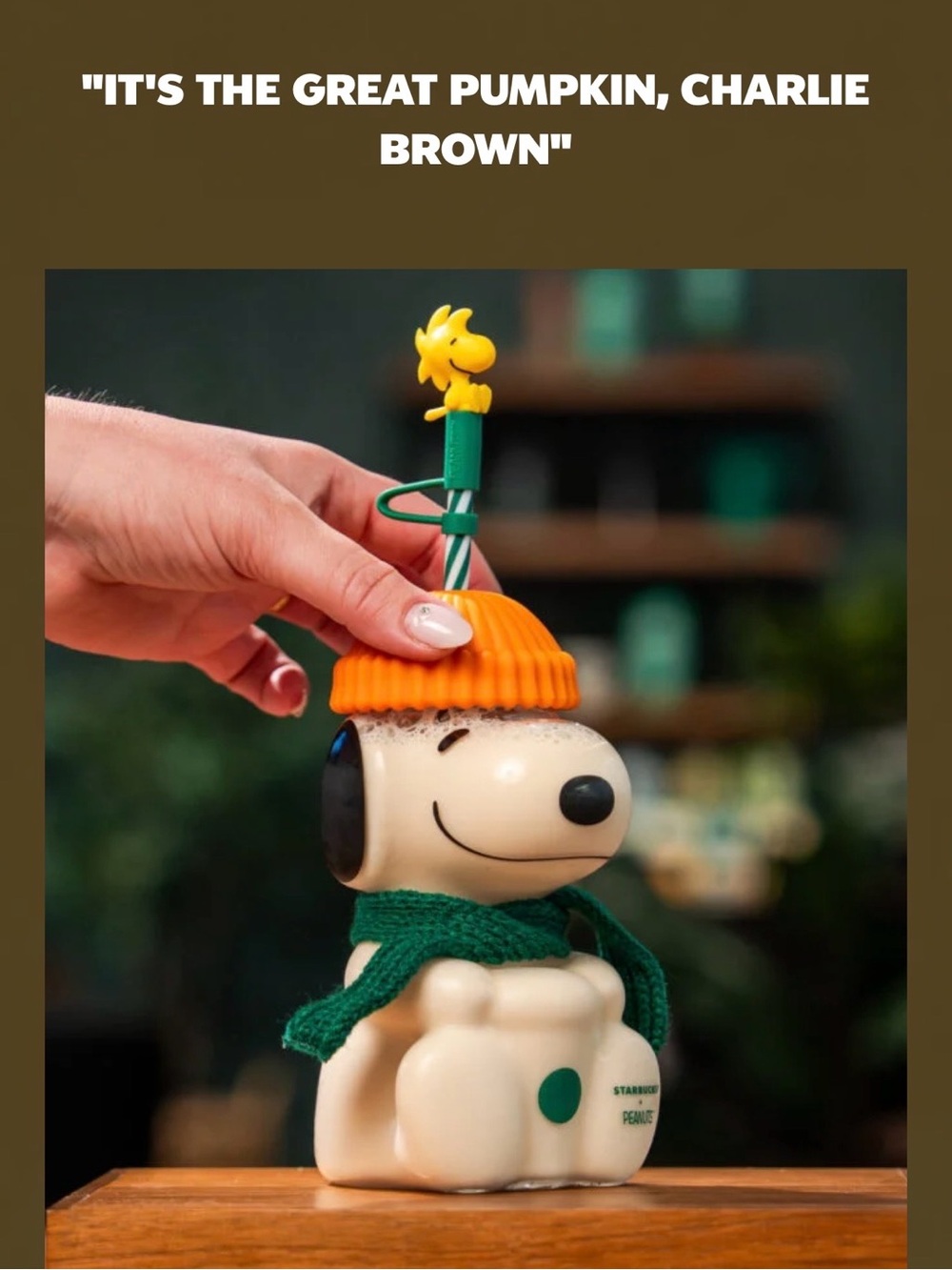 🔴 Peanuts + Starbucks Snoopy Cold Cup